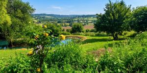a garden with a pond in the middle of a field at Studio cosy à Camembert - 20 m² avec terrasse et parking in Camembert