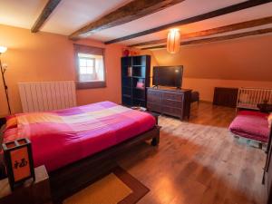 a bedroom with a bed and a tv in it at Appartement spacieux à Chenevrey-et-Morogne 160 m² avec terrasse in Chenevrey-et-Morogne