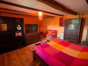 a bedroom with a colorful bed and a television at Appartement spacieux à Chenevrey-et-Morogne 160 m² avec terrasse in Chenevrey-et-Morogne