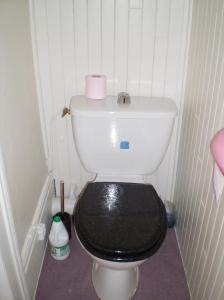 a bathroom with a white toilet with a black seat at Appartement charmant à Plancher-les-Mines 40 m² avec jardin in Plancher-les-Mines +15 photos