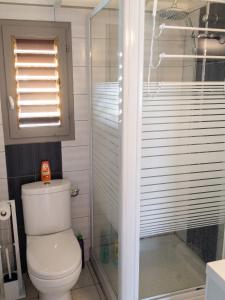 a bathroom with a toilet and a glass shower at Maison charmante Deshaie + Vue in Deshaies