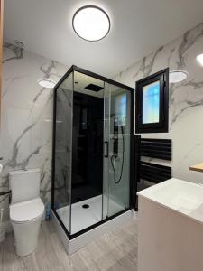 a bathroom with a shower and a toilet and a sink at Studio cosy tout confort proche ARKEMA in Château-Arnoux-Saint-Auban +25 photos