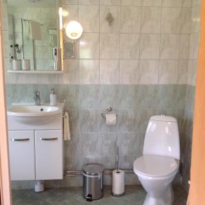 a bathroom with a toilet and a sink at Lanthotellet Hishult in Hishult +3 photos