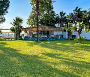 a large yard with palm trees and a house at Catamaran Quality Times - Premium Ultra All Inclusive in Kemer