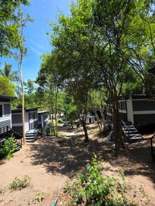 a group of mobile homes in the shade of trees at Chalok Garden bungalow in Ko Tao