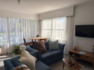 a living room with a blue couch and a tv at Cute Chartwell Cottage in Hamilton