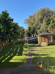 a garden with an orange tree and a shed at Cute Chartwell Cottage in Hamilton