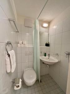 a white bathroom with a toilet and a sink at Basic Apartment in Witikon district in Zurich