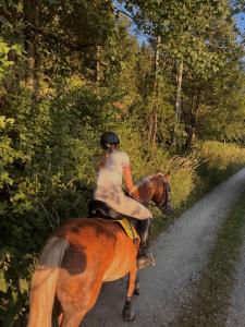 eine Frau reitet auf einem Pferd eine Straße entlang in der Unterkunft Omas Paradies in Größing