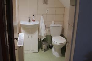 a small bathroom with a toilet and a sink at Bondyrz 134 in Bondyrz +8 photos