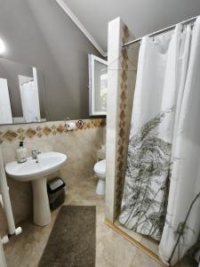 a bathroom with a shower curtain and a sink at Agape Speranta 96 in Piteşti +28 photos