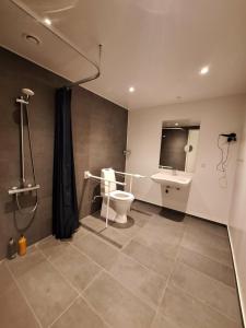 a bathroom with a toilet and a sink at Fyrtojet in Odense
