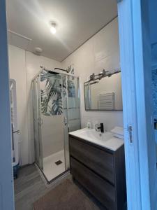 a bathroom with a shower and a sink and a mirror at Gite d'Oliva in Suèvres +51 photos