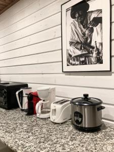 a counter top with several appliances on it at Villa Bourbon Pointu - Hiking & Spa in La Plaine des Palmistes