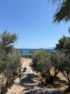 a beach with trees and the ocean in the background at Studio Apartments in Monemvasia