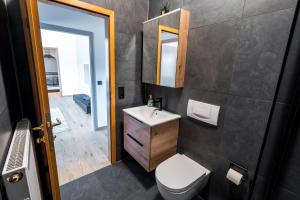 a bathroom with a toilet and a sink and a mirror at Gut Buchenhof in Buchenberg +60 photos
