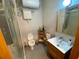 a bathroom with a toilet and a shower and a sink at Calle Villarroel Barcelona 3-2 in Barcelona