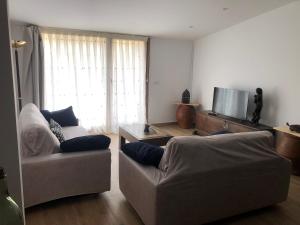 a living room with two couches and a tv at El Balcón de La Vega in Vinuesa