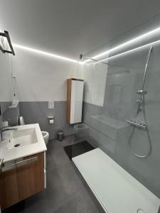 a bathroom with a shower and a sink and a toilet at Apartment Grenzland in Herzogenrath +14 photos