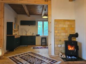 a living room with a fireplace and a kitchen at Leśna Kraina in Międzyrzec Podlaski