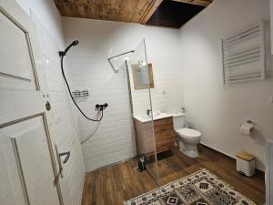 a bathroom with a shower and a toilet at Leśna Kraina in Międzyrzec Podlaski +28 photos