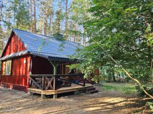 a red barn with a blue roof in the woods at Leśna Kraina in Międzyrzec Podlaski