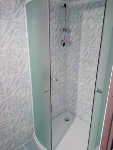 a shower with a glass door in a bathroom at Pensiunea Daiana in Albac