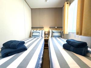 two beds in a room with blue pillows at Gordy's Nook in Scarborough