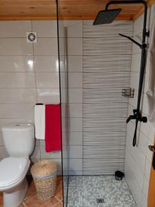 a bathroom with a toilet and a shower at Casa do Bernardo in Feiteira