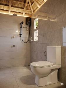 a bathroom with a toilet and a shower at Blue Mountain Cabana in Ella