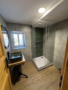 a bathroom with a shower with a sink and a mirror at Chata Borůvka in Pec pod Sněžkou