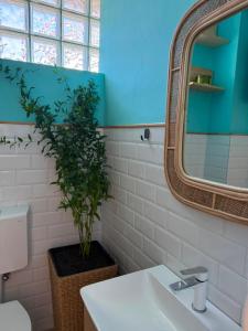 a bathroom with a sink and a mirror and a plant at Smochin Vama Veche Adults Only in Vama Veche +47 photos