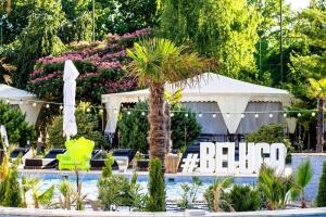 a pool with a palm tree and a hotel sign at Hotel Terra Balneo in Galaţi