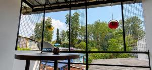 a large window with a table in front of it at Birdwing Cottage, Munnar in Munnar