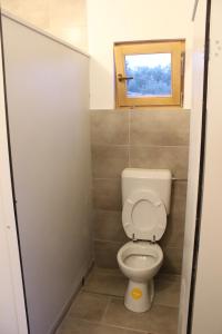 a small bathroom with a toilet and a window at Bungalov A in Sveti Filip i Jakov +1 photo