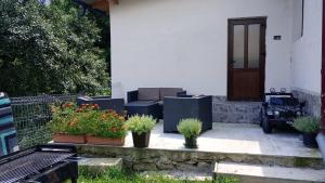 a porch with some plants and flowers in pots at Matei tiny house in Grinţieşu Mic