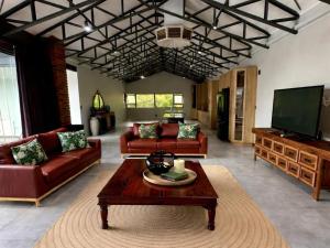 a living room with two couches and a tv at Fairview Guest House Executive in Hartswater