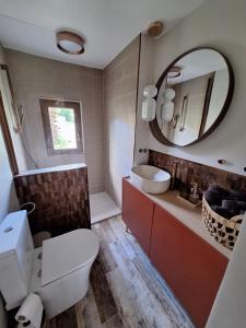 a bathroom with a toilet and a sink and a mirror at Nadmorska Przystań in Gdańsk +16 photos