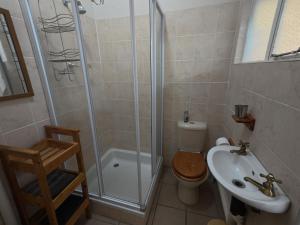 a bathroom with a shower and a toilet and a sink at Glendale Cottage in Bloemfontein