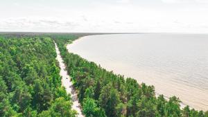 an aerial view of a beach next to a body of water at Minhauzena Unda in Saulkrasti