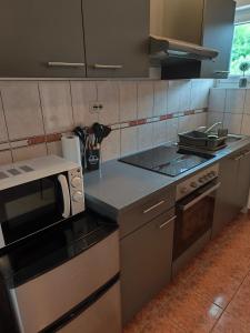 a kitchen with a stove and a microwave at Apartments Luka in Rab
