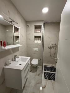 a bathroom with a sink and a shower and a toilet at Stan centar Gračanica in Gračanica
