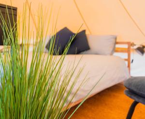 a living room with a couch and a plant at B&B 't Hoogste Kamers en Glamping in Bornem