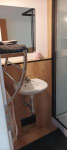 a bathroom with a white sink and a mirror at Zimmer zum Viadukt in Neulengbach