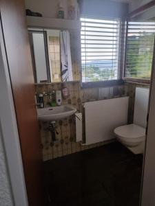 a bathroom with a sink and a toilet at Gästezimmer in einen Einfamilienhaus in Rudolfstetten