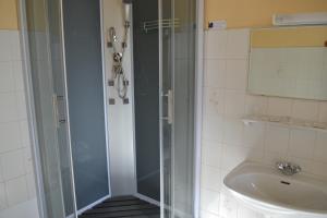 une douche avec une porte en verre à côté d'un lavabo dans l'établissement Le Lanthenay, à Romorantin-Lanthenay