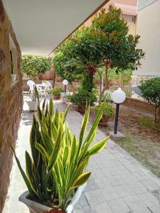 a patio with a bunch of plants and trees at LV SWAN Apartment in Carloforte