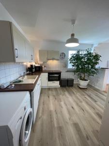 a kitchen with white cabinets and a wooden floor at Burgerwiese in Brodersby