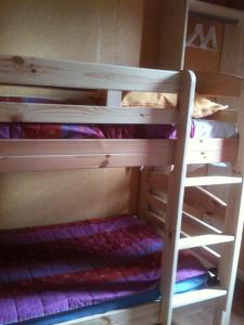 a bunk bed with a ladder in a bunk room at Domaine De Silvabelle in Mars-sur-Allier