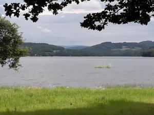 a view of a large lake with grass and trees at Gîte la Roche du Gravillot in Château-Chinon